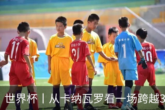 世界杯丨从卡纳瓦罗看一场跨越30年的重逢